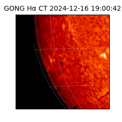 gong - 2024-12-16T19:00:42