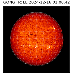 gong - 2024-12-16T01:00:42
