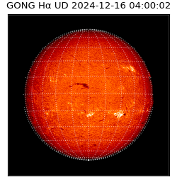 gong - 2024-12-16T04:00:02