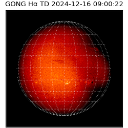 gong - 2024-12-16T09:00:22