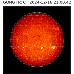 gong - 2024-12-16T21:00:42