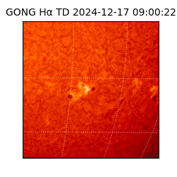 gong - 2024-12-17T09:00:22