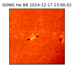 gong - 2024-12-17T23:00:02