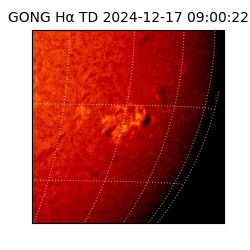 gong - 2024-12-17T09:00:22