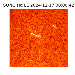 gong - 2024-12-17T08:00:42