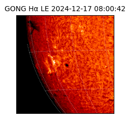 gong - 2024-12-17T08:00:42