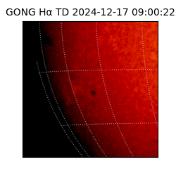 gong - 2024-12-17T09:00:22