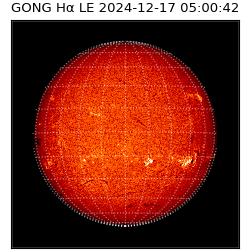 gong - 2024-12-17T05:00:42