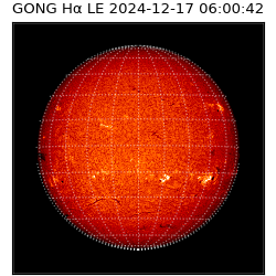 gong - 2024-12-17T06:00:42