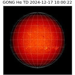 gong - 2024-12-17T10:00:22