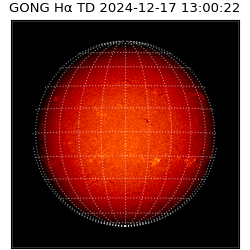 gong - 2024-12-17T13:00:22