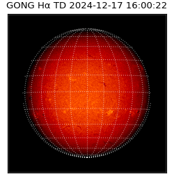 gong - 2024-12-17T16:00:22