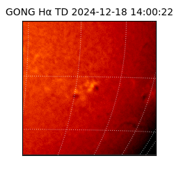 gong - 2024-12-18T14:00:22