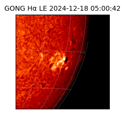gong - 2024-12-18T05:00:42