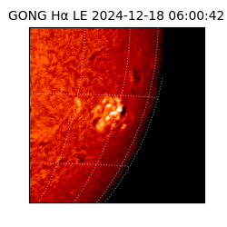 gong - 2024-12-18T06:00:42