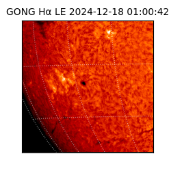 gong - 2024-12-18T01:00:42