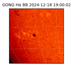 gong - 2024-12-18T19:00:02