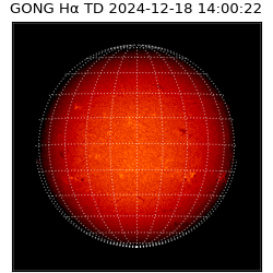 gong - 2024-12-18T14:00:22