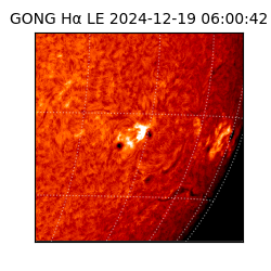 gong - 2024-12-19T06:00:42