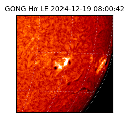 gong - 2024-12-19T08:00:42