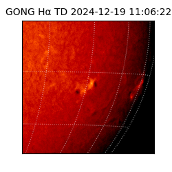 gong - 2024-12-19T11:06:22