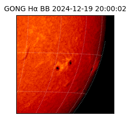 gong - 2024-12-19T20:00:02