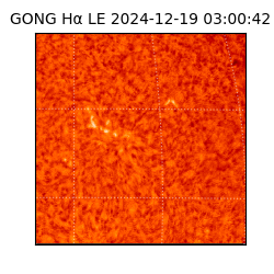 gong - 2024-12-19T03:00:42