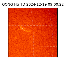 gong - 2024-12-19T09:00:22