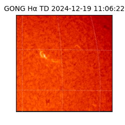 gong - 2024-12-19T11:06:22