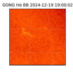 gong - 2024-12-19T19:00:02