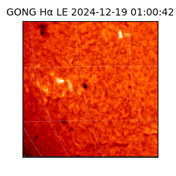 gong - 2024-12-19T01:00:42