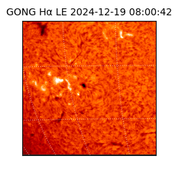 gong - 2024-12-19T08:00:42