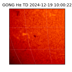 gong - 2024-12-19T10:00:22