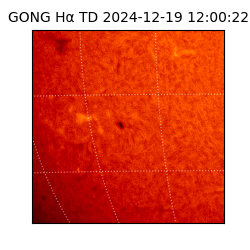 gong - 2024-12-19T12:00:22