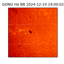 gong - 2024-12-19T19:00:02