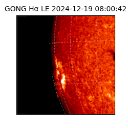 gong - 2024-12-19T08:00:42
