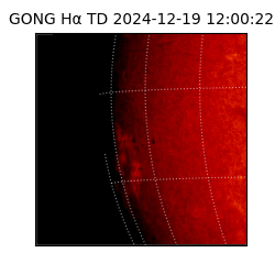 gong - 2024-12-19T12:00:22