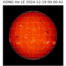gong - 2024-12-19T00:00:42