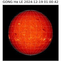gong - 2024-12-19T01:00:42