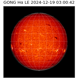 gong - 2024-12-19T03:00:42