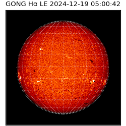 gong - 2024-12-19T05:00:42