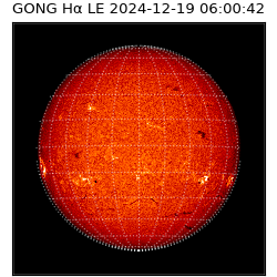 gong - 2024-12-19T06:00:42