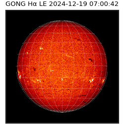 gong - 2024-12-19T07:00:42