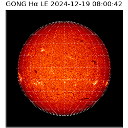 gong - 2024-12-19T08:00:42