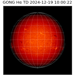 gong - 2024-12-19T10:00:22