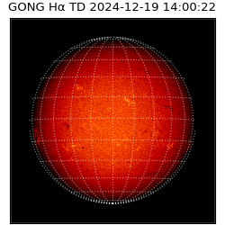 gong - 2024-12-19T14:00:22