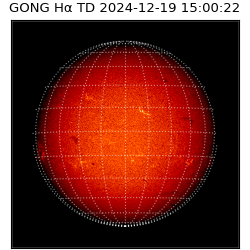 gong - 2024-12-19T15:00:22
