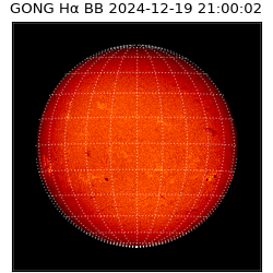 gong - 2024-12-19T21:00:02