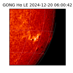 gong - 2024-12-20T06:00:42
