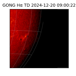 gong - 2024-12-20T09:00:22